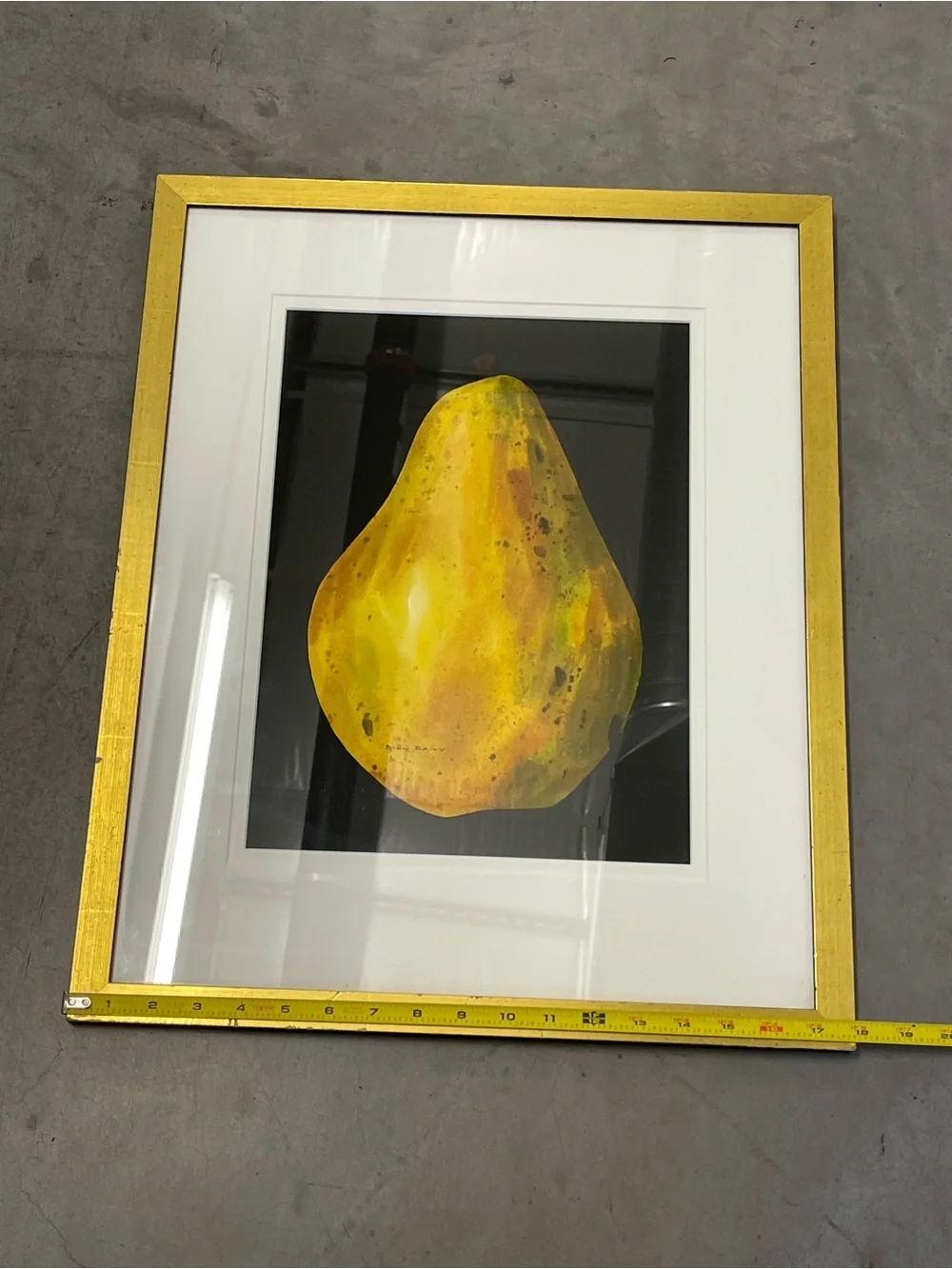 Bill Baily Framed Papaya Fruit Still Life Signed Art Print 18x22.5
